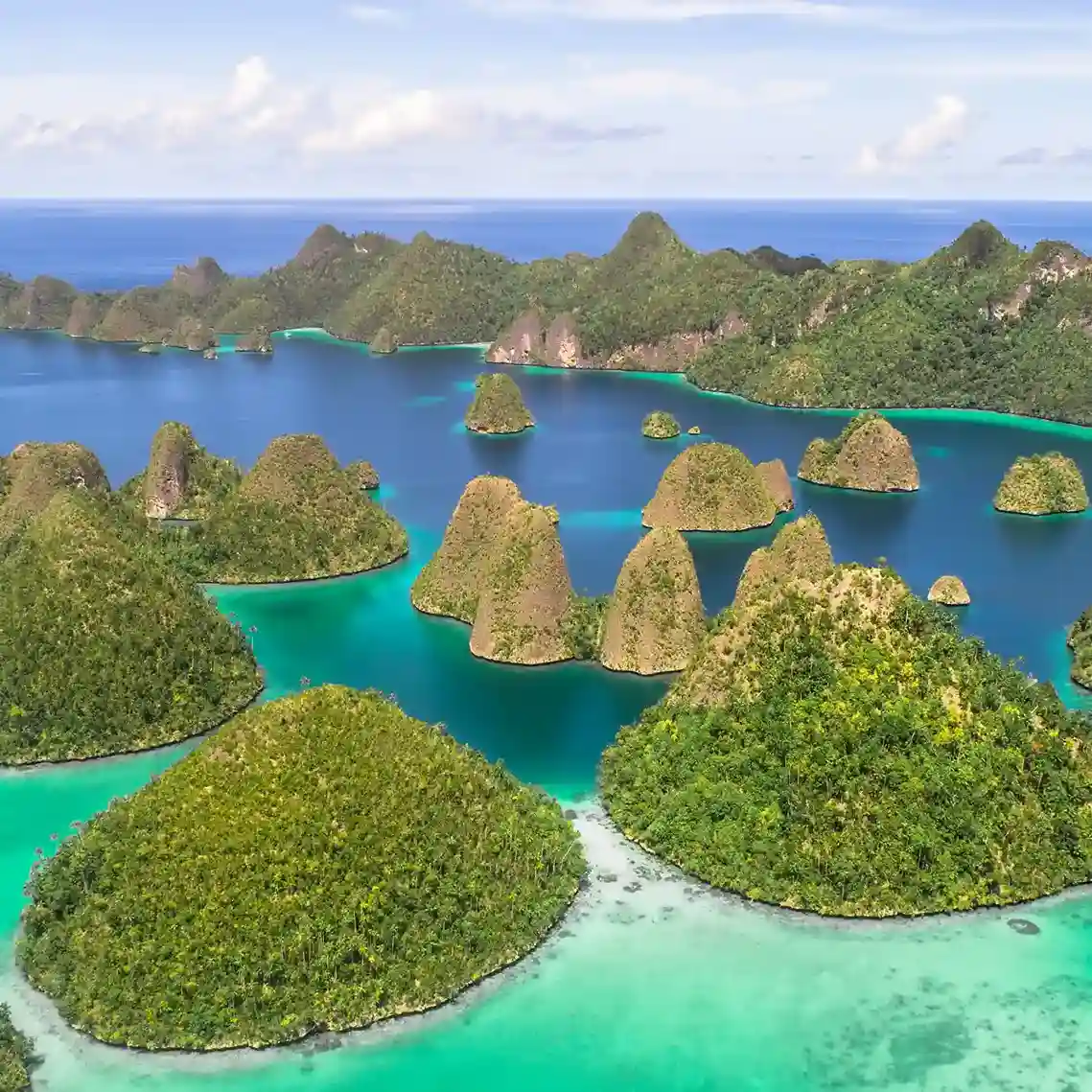 Raja Ampat Boat Tours in 2027: A Comprehensive Price and Planning Guide