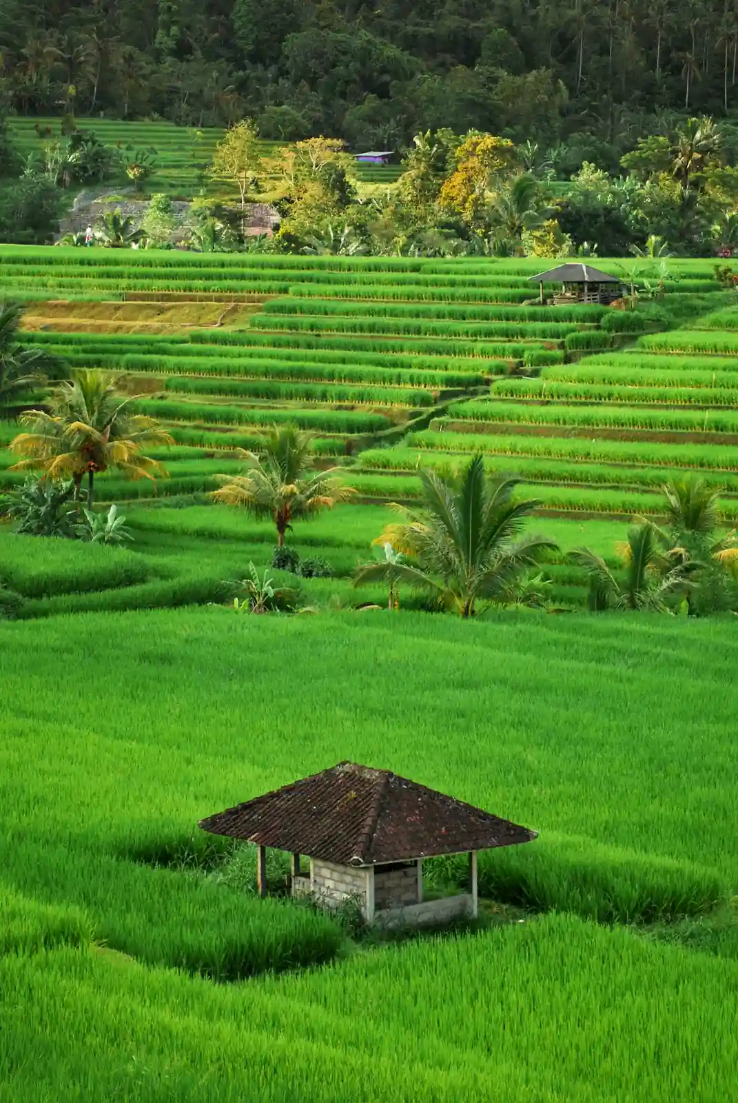 Evaluating ROI for Your Bali Corporate Retreat in 2027: A Practical Guide