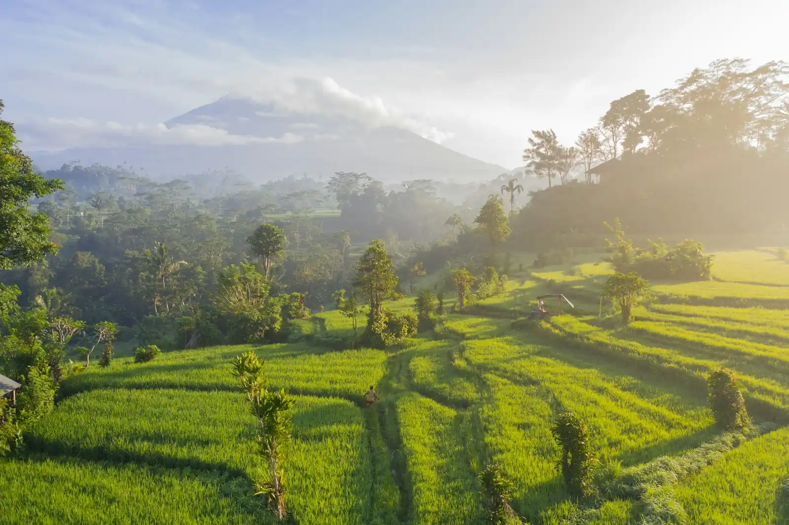 AI Tools for Bali Corporate Retreat Planning 2027: A Strategic Approach