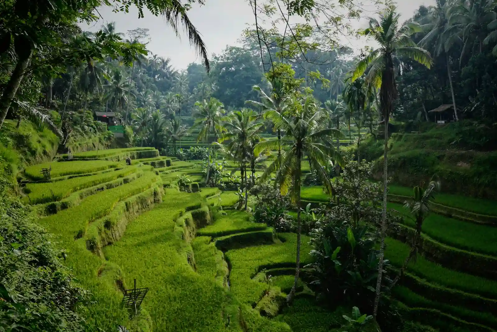 Best Bali Corporate Retreat Locations for Leadership Training 2027
