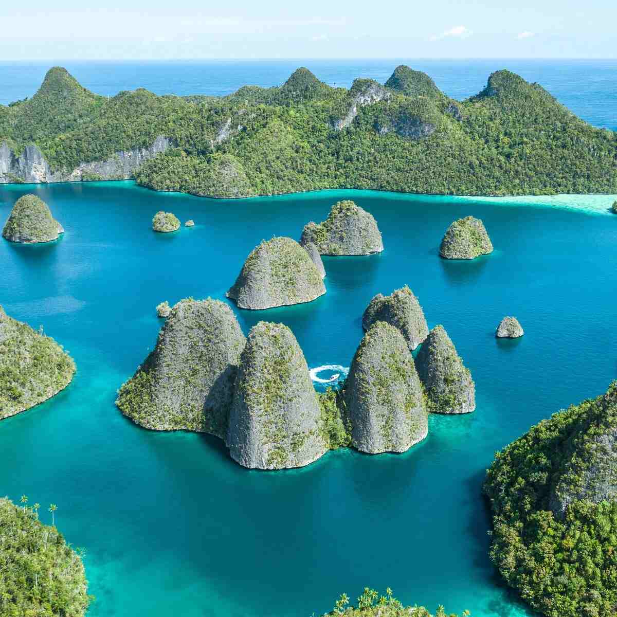 Raja Ampat Boat Tours 2027: A Definitive Price and Planning Guide