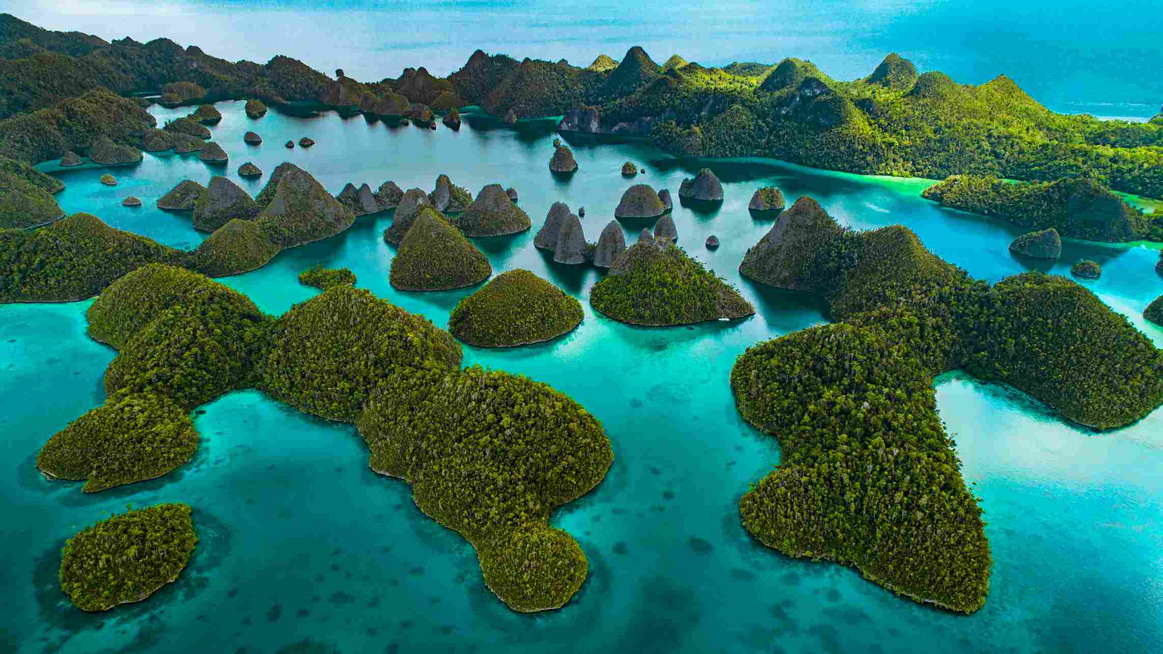 Best Raja Ampat Boat Tour 2027: A Comprehensive Planning Guide