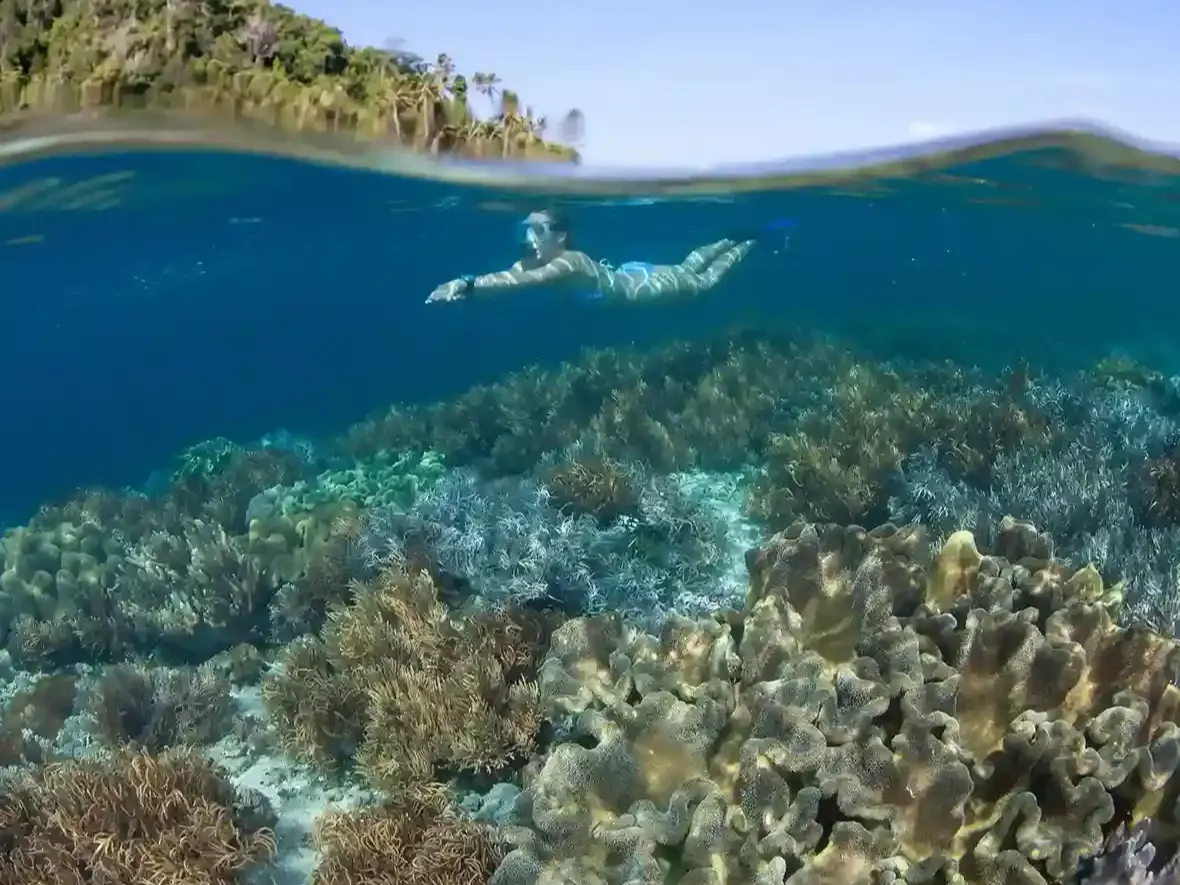 Arborek and the jetty reefs