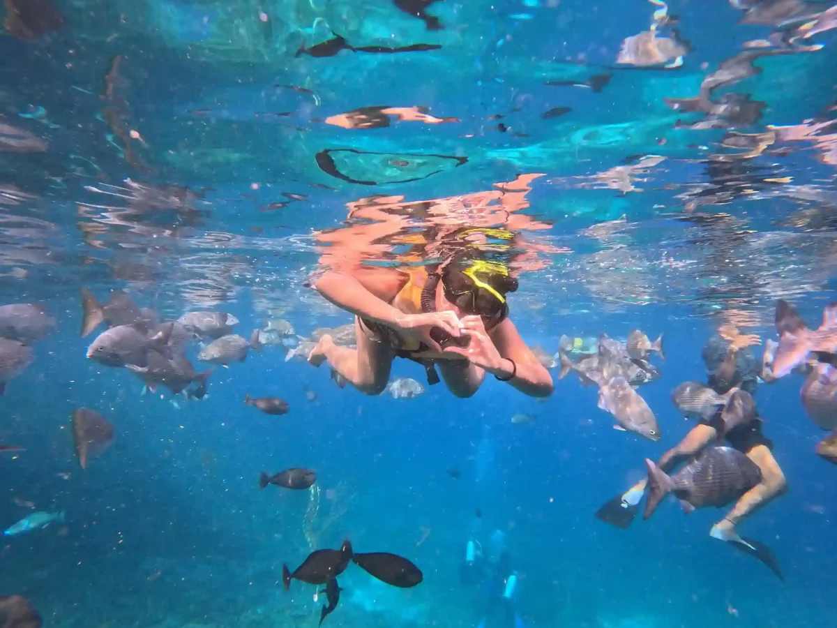 Dampier Strait reefs