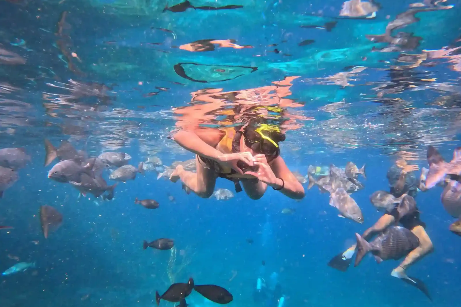 Snorkeler over a shallow reef in the Dampier Strait, Raja Ampat