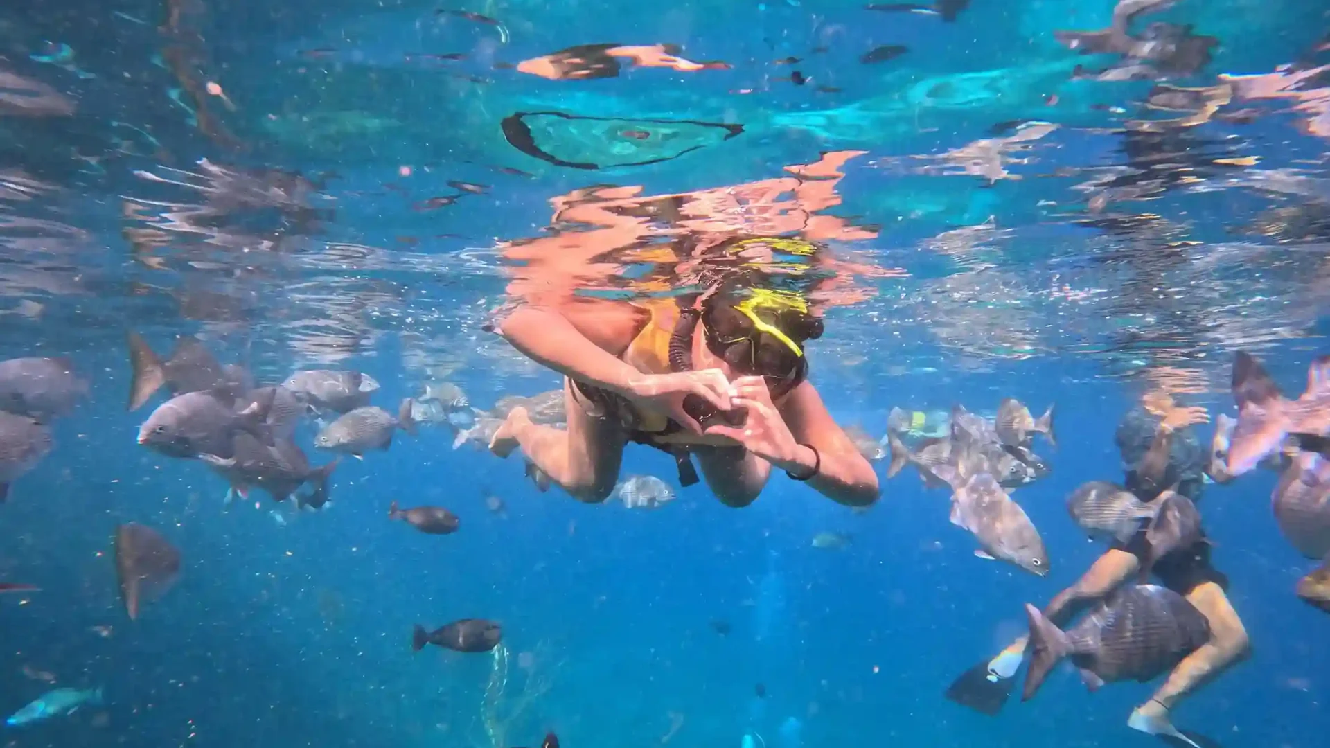 Snorkeler over a shallow reef in the Dampier Strait, Raja Ampat