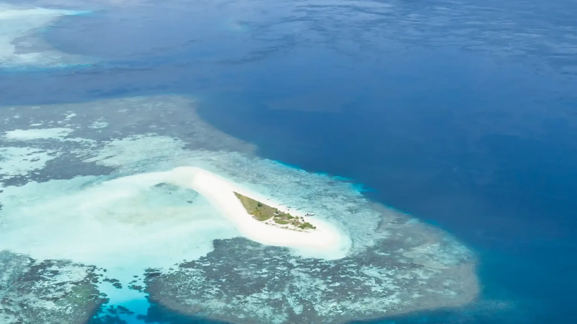 The Pasir Timbul sandbar at low tide, Raja Ampat