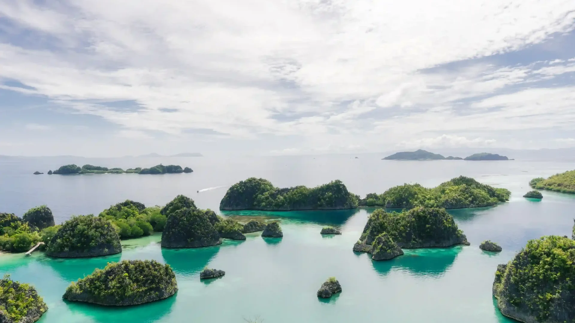 The karst islets seen from the Piaynemo viewpoint, Raja Ampat
