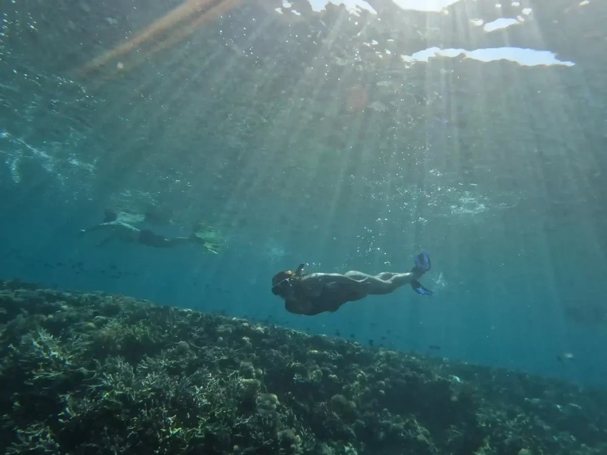 Hard coral and reef fish in the shallows of Raja Ampat