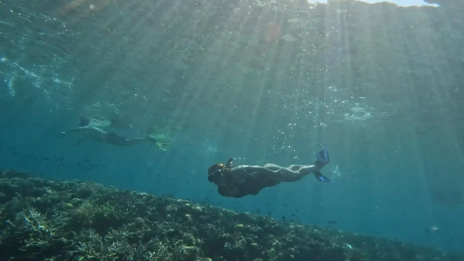 Hard coral and reef fish in the shallows of Raja Ampat